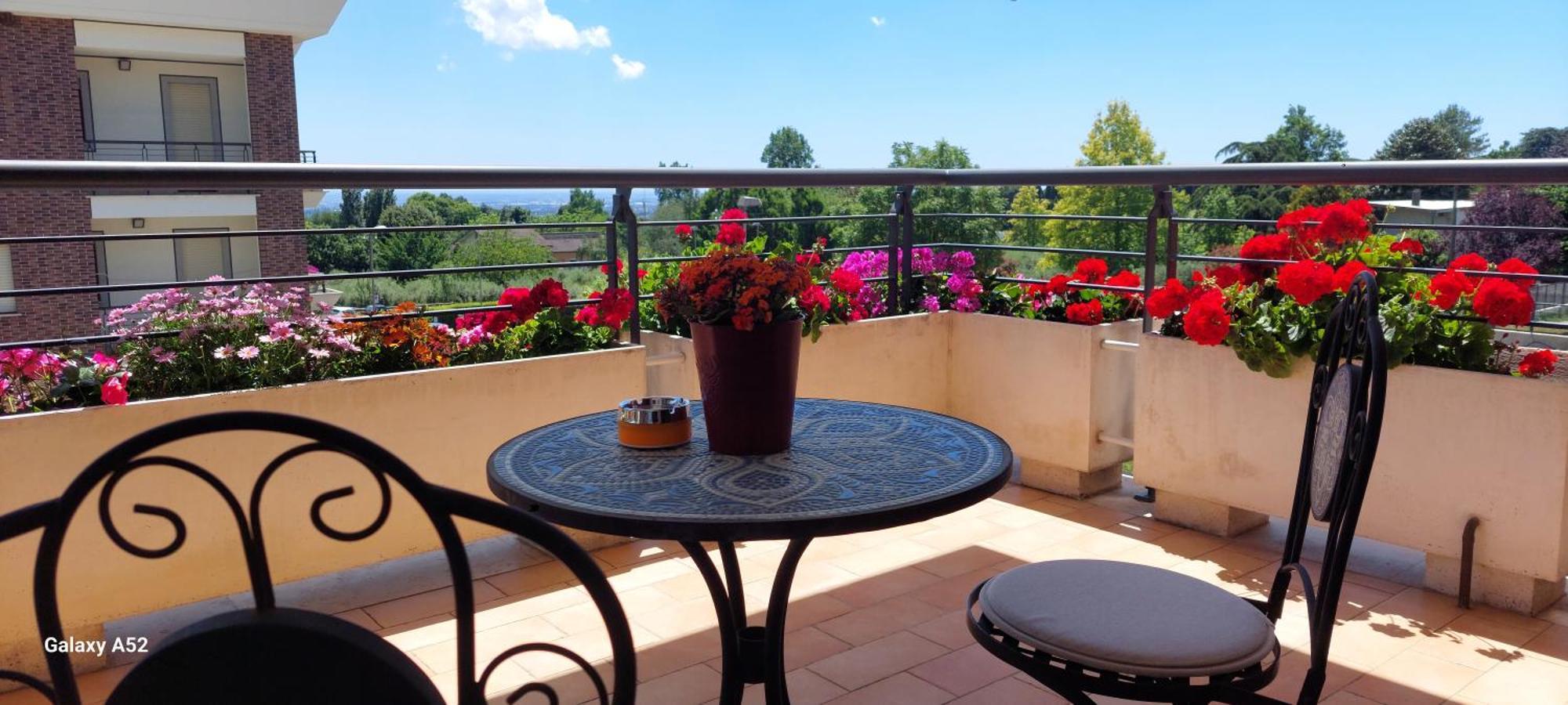 Relax & Business Luxury Apartment Velletri Luaran gambar